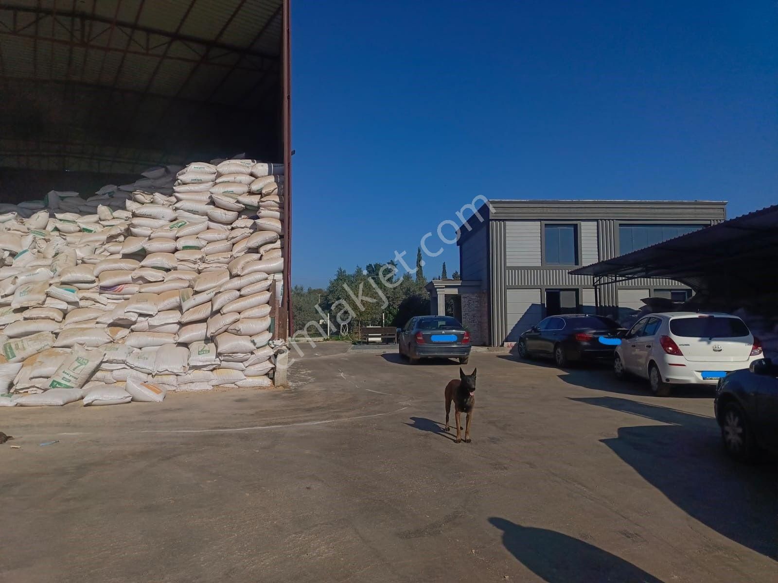 3ev Emlak'tan Kuyumcular'da Malzemeleriyle Satılık Yem Fabrikası - Görsel 22