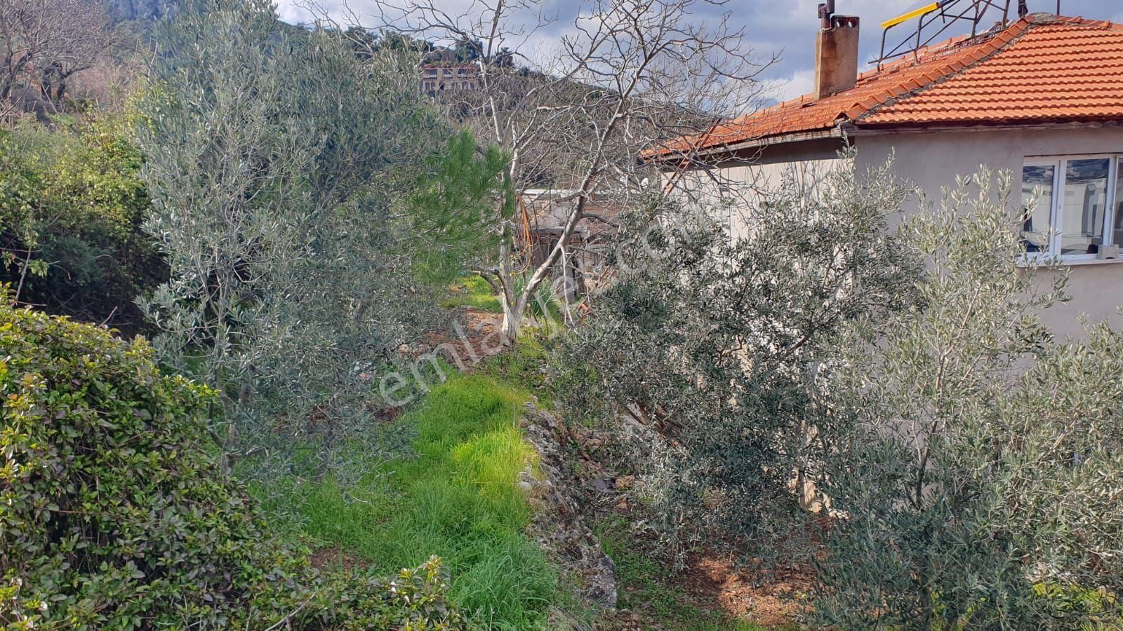 Kemalpaşa Atatürk Mahallesinde Sahibinden Müstakil 2 Katlı Bahçeli Ev/pazarlık Payı Vardır - Görsel 7