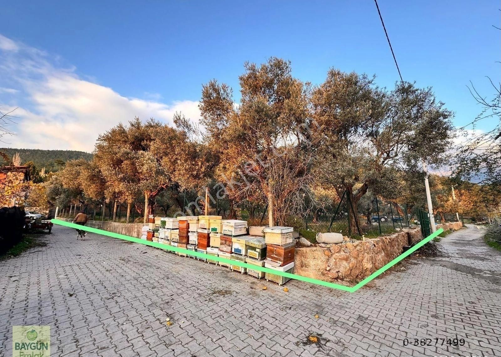 Kemalpaşa Dereköy Satılık Arsa Köşe 900m2 İmarlı - Görsel 3