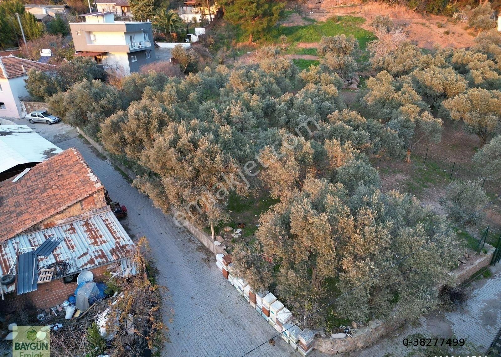 Kemalpaşa Dereköy Satılık Arsa Köşe 900m2 İmarlı - Görsel 5