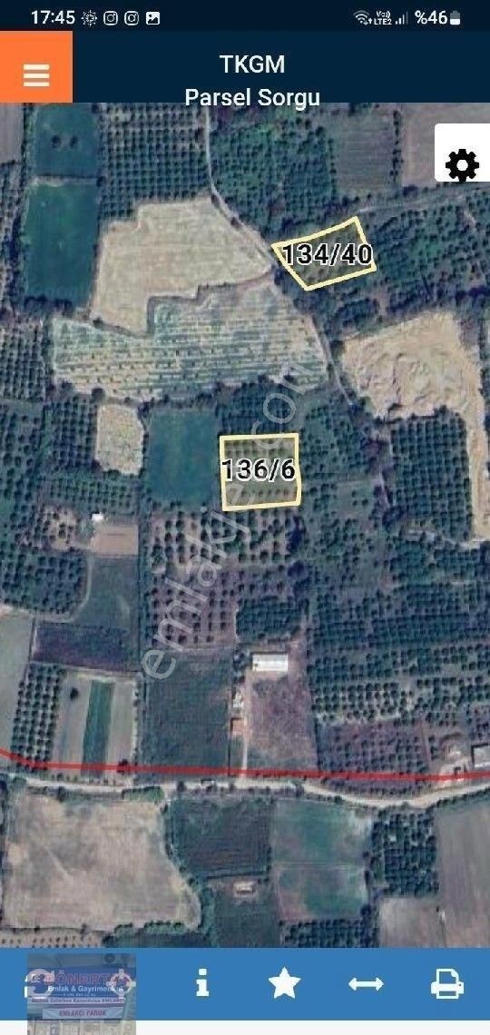 Dönertaş Emlaktan Kuyucak Beşeylül Köyünde Portakallık - Görsel 7