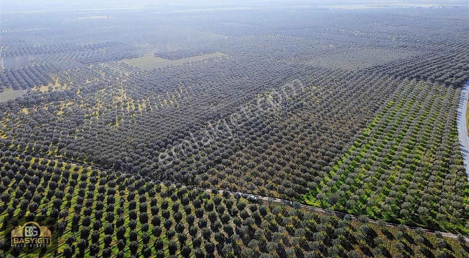 Mecidiye Mah.14.500 M2 Müstakil Tapulu Tarla Satılık - Görsel 14