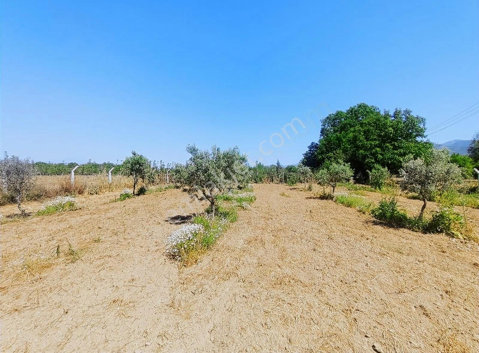 Tire'ye 2 Km Mesafede Muhteşem Yaşam Alanı - Görsel 15