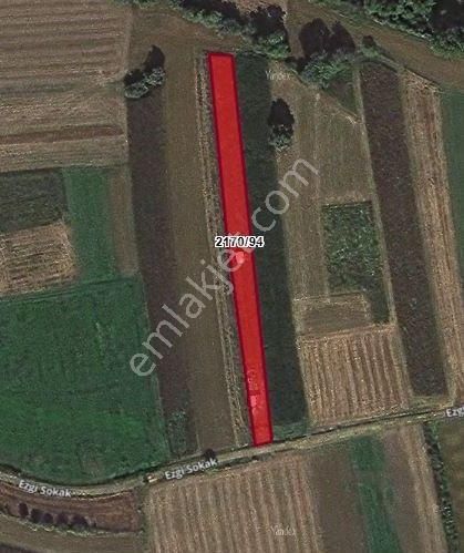 Adapazarı Kayrancık’ta Yola Cepheli 2.481 M2 Satılık Bahçe - Görsel 3