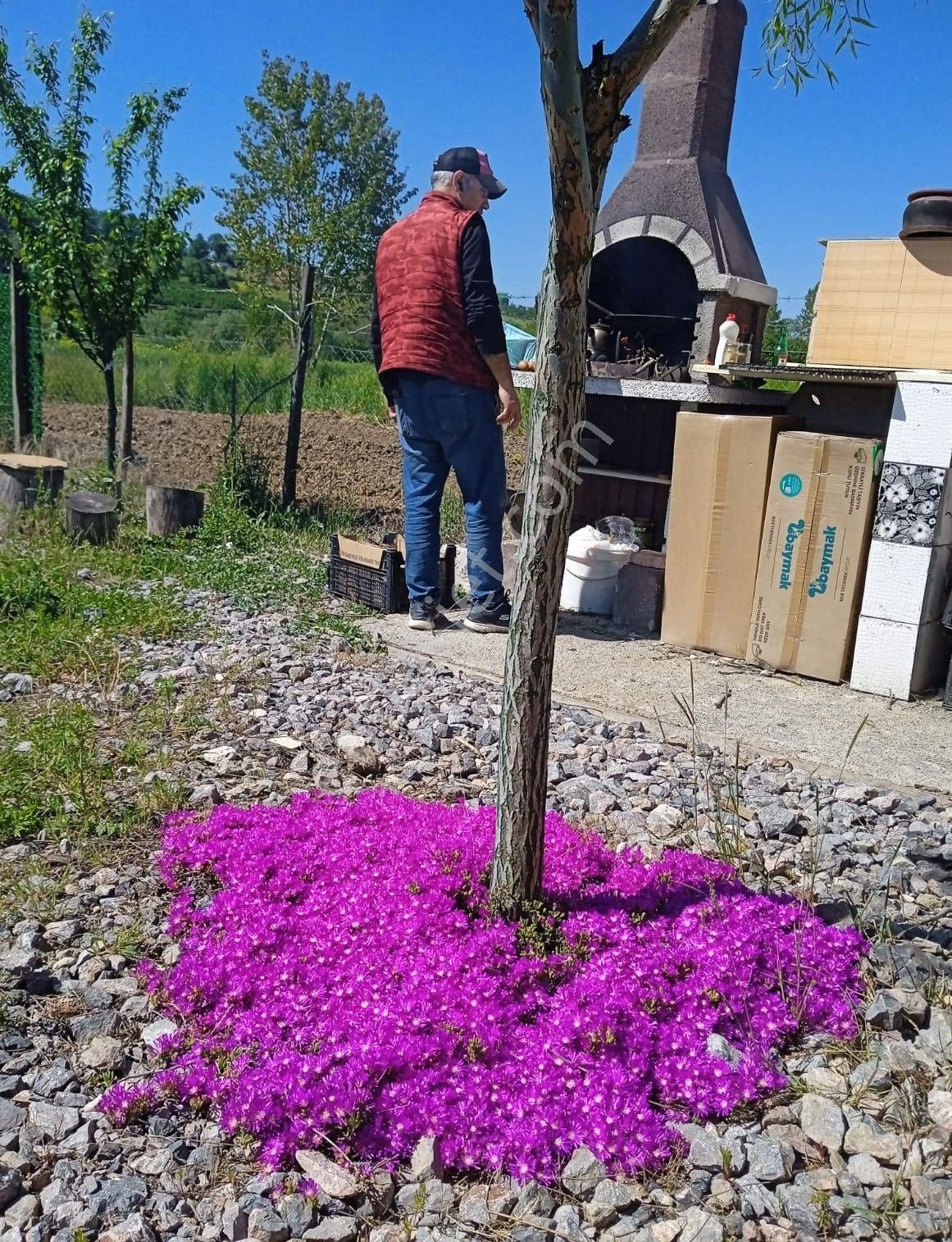 Adapazarı Kayrancık’ta Yola Cepheli 2.481 M2 Satılık Bahçe - Görsel 23