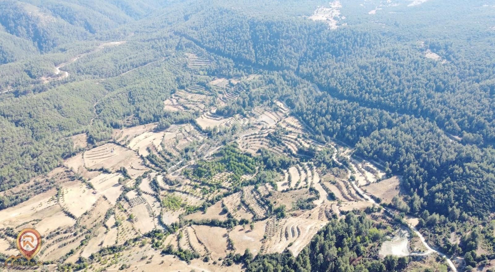 Rest Emlak- Muğla'da Fırsat Yolu Olan Tarla - Görsel 6