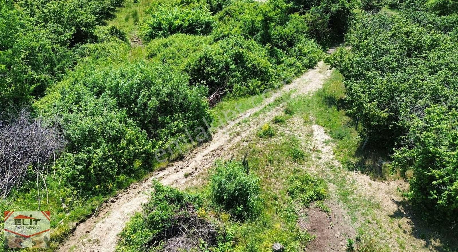 Fırsat Sakarya Karasuda Satılık Köy İçinde 635 Metre² Tarla - Görsel 3