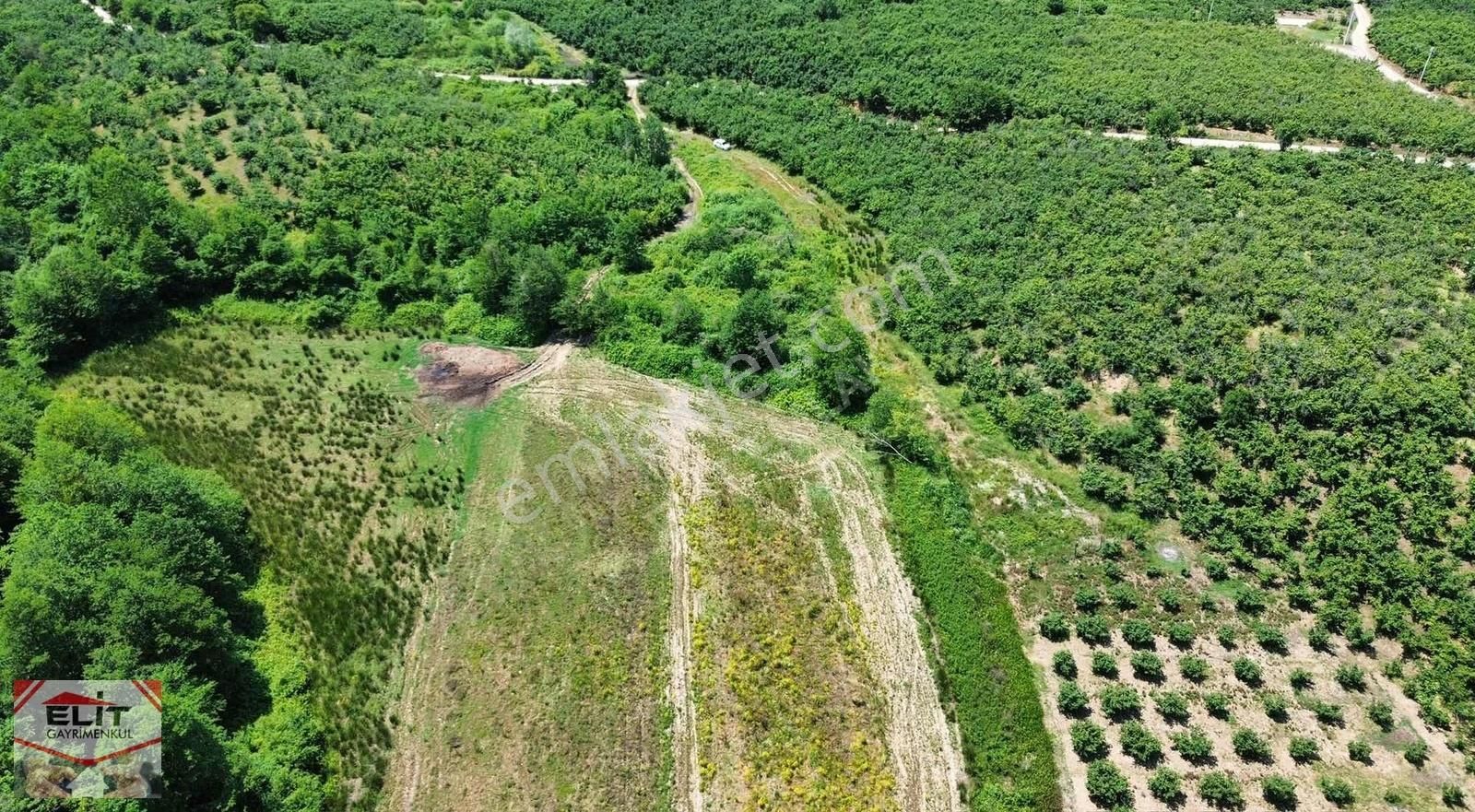 Fırsat Sakarya Karasuda Satılık Köy İçinde 635 Metre² Tarla - Görsel 18