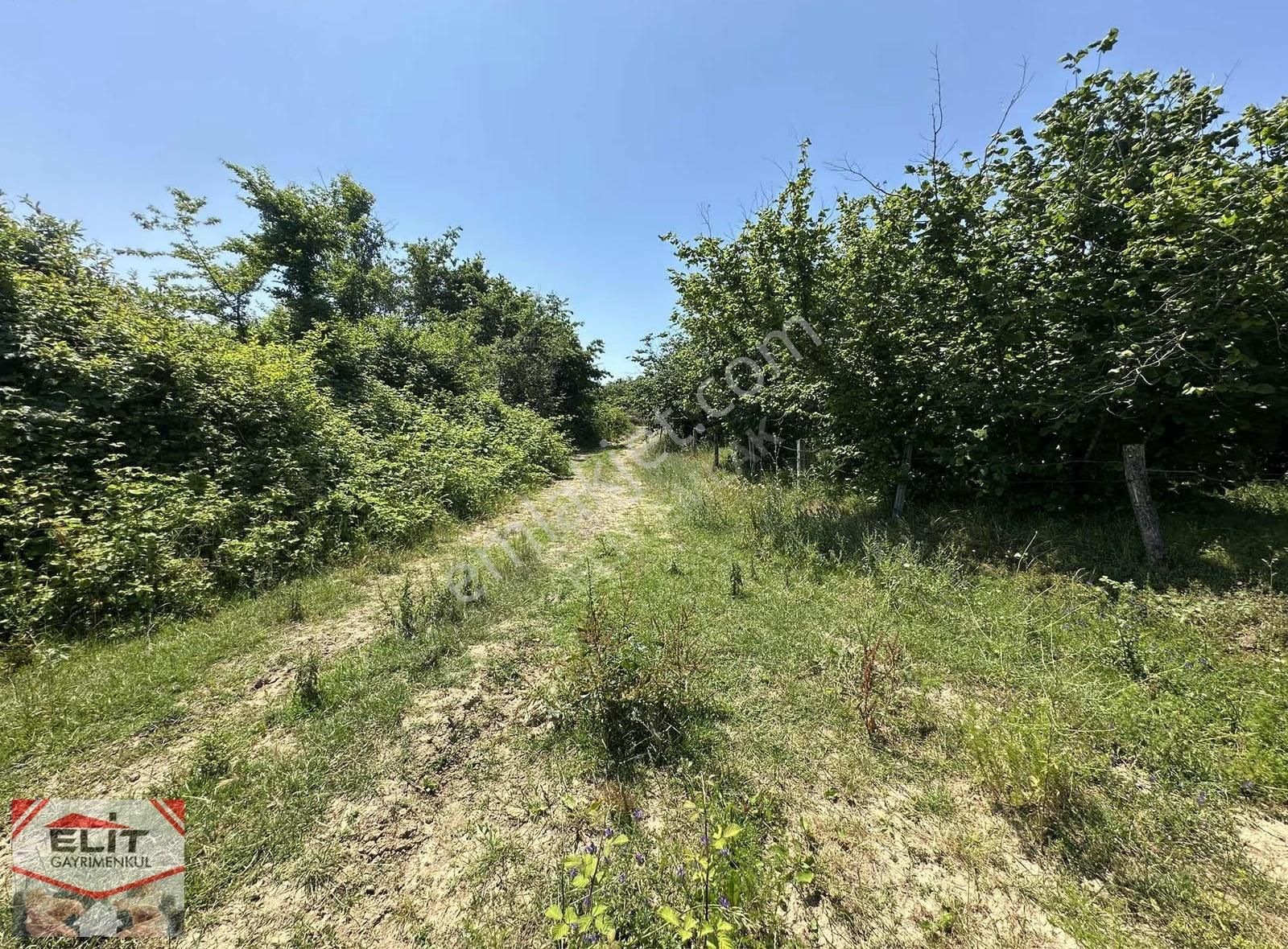 Fırsat Sakarya Karasuda Satılık Köy İçinde 635 Metre² Tarla - Görsel 17