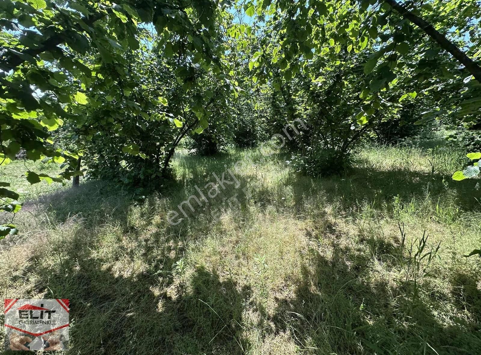 Fırsat Sakarya Karasuda Satılık Köy İçinde 635 Metre² Tarla - Görsel 19