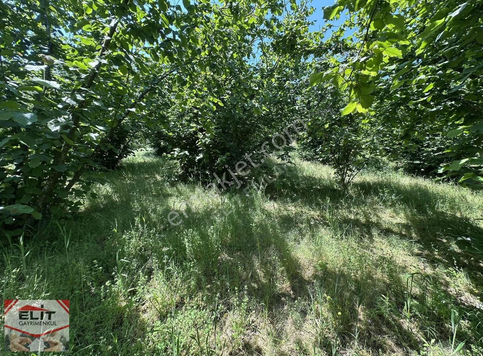 Fırsat Sakarya Karasuda Satılık Köy İçinde 635 Metre² Tarla - Görsel 21