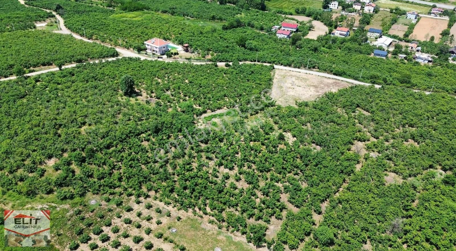 Fırsat Sakarya Karasuda Satılık Köy İçinde 635 Metre² Tarla - Görsel 8