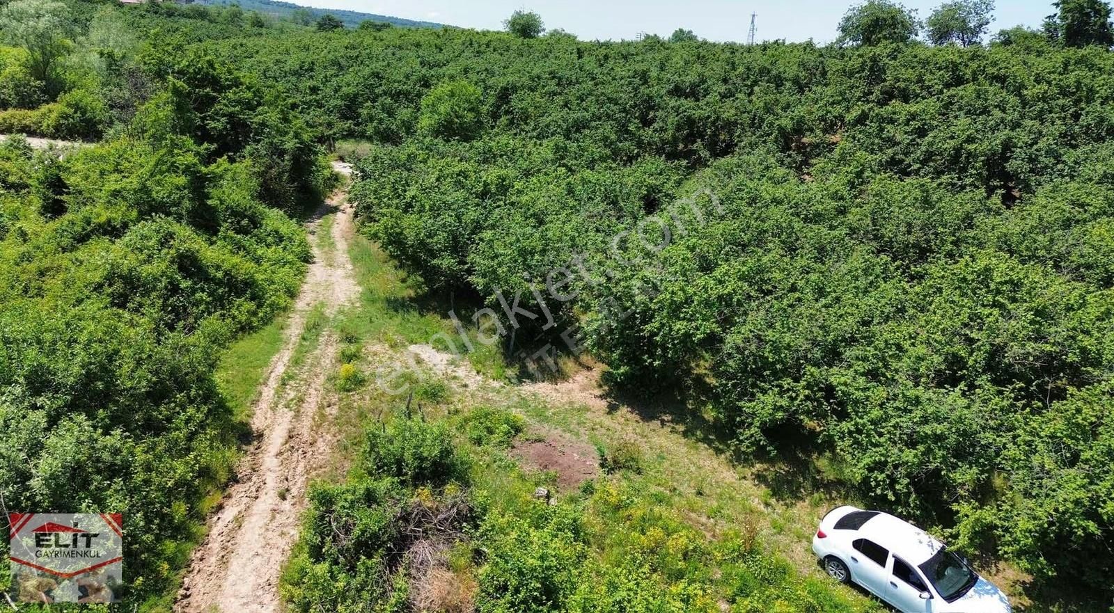 Fırsat Sakarya Karasuda Satılık Köy İçinde 635 Metre² Tarla - Görsel 10