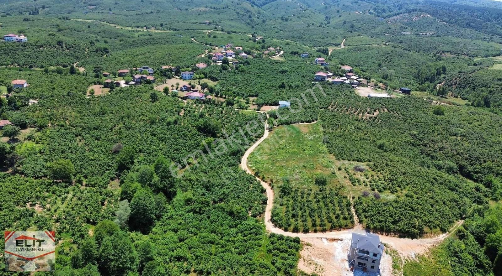 Fırsat Sakarya Karasuda Satılık Köy İçinde 635 Metre² Tarla