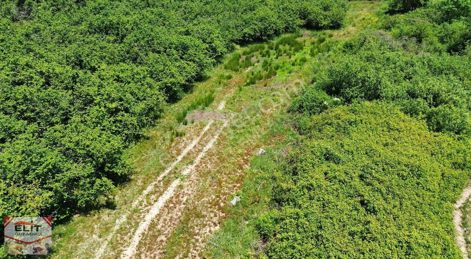 Fırsat Sakarya Karasuda Satılık Köy İçinde 635 Metre² Tarla - Görsel 13