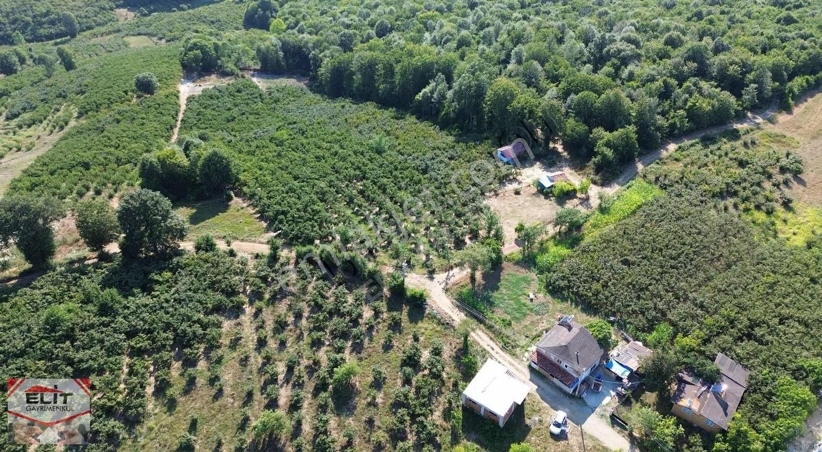 Fırsat Sakarya Karasuda Satılık Köy İçinde 635 Metre² Tarla - Görsel 35