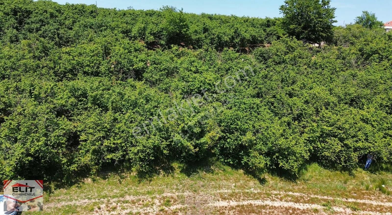 Fırsat Sakarya Karasuda Satılık Köy İçinde 635 Metre² Tarla - Görsel 11