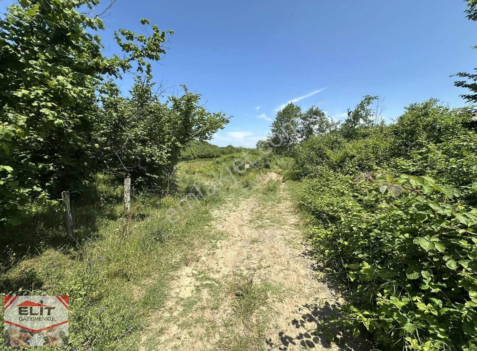 Fırsat Sakarya Karasuda Satılık Köy İçinde 635 Metre² Tarla - Görsel 4