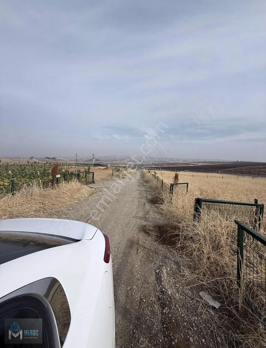 Batman Dirbeseda Satılık Uyguna Hobi Bahçesi - Görsel 4