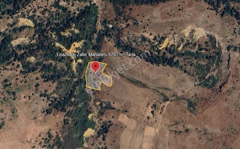 Sinanpaşa Tınaztepe'de 8.783 M'lik Satılık Hesaplı Tarla - Görsel 2