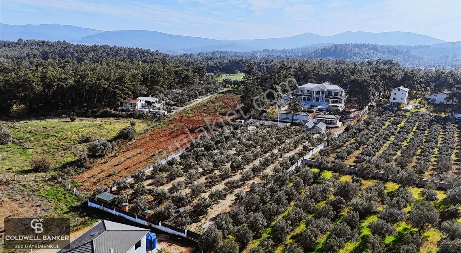 İzmir Menderes'te Emsalsiz Muhteşem Satılık Köşk/malikhane - Görsel 19