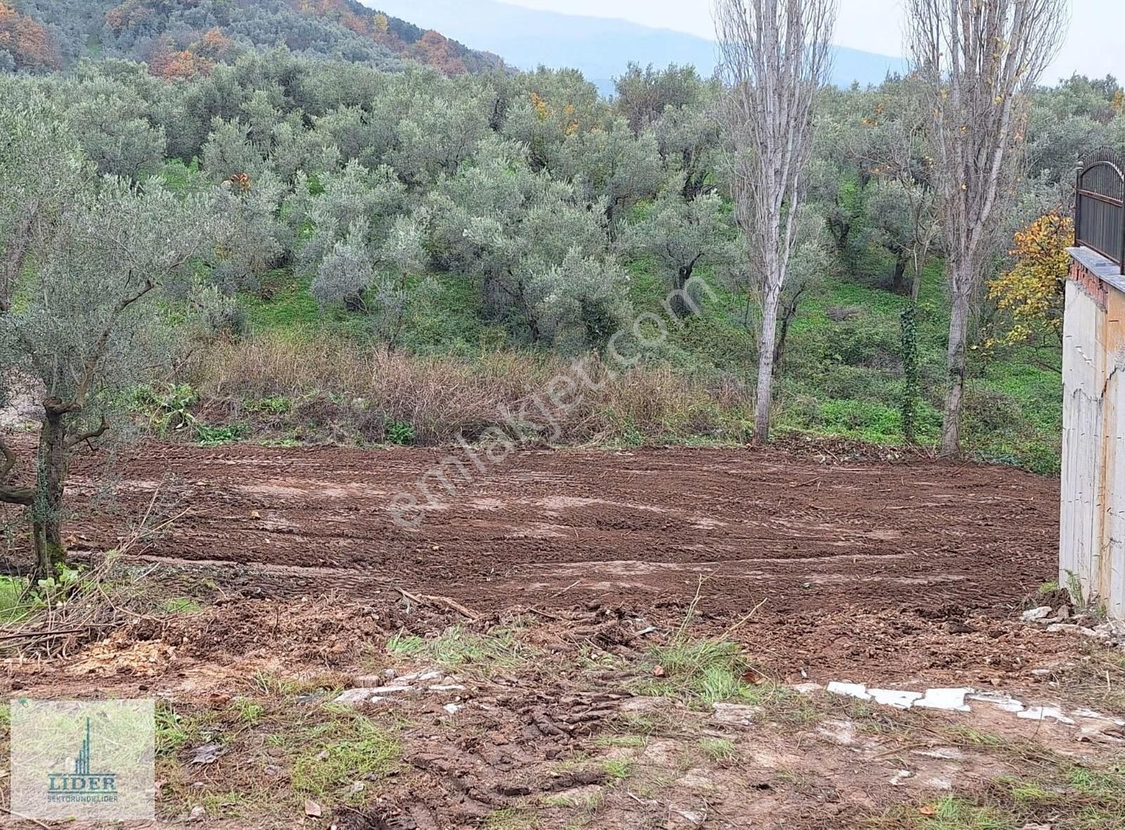 Bursa Orhangazi Heceler Mah. 2.5 Kat İmarlı Göl Manzaralı Arsa - Görsel 8