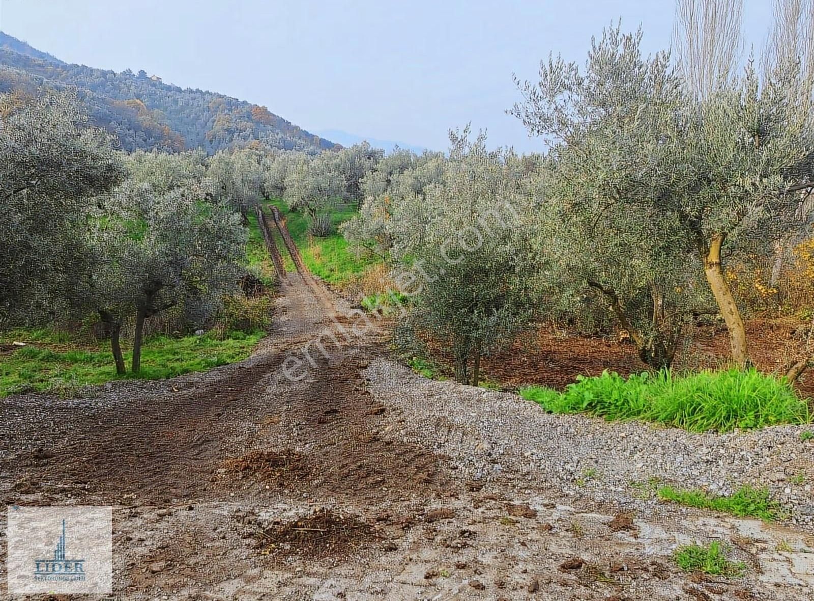 Bursa Orhangazi Heceler Mah. 2.5 Kat İmarlı Göl Manzaralı Arsa - Görsel 14