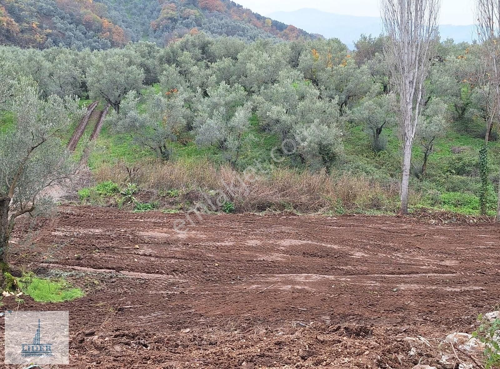 Bursa Orhangazi Heceler Mah. 2.5 Kat İmarlı Göl Manzaralı Arsa - Görsel 6