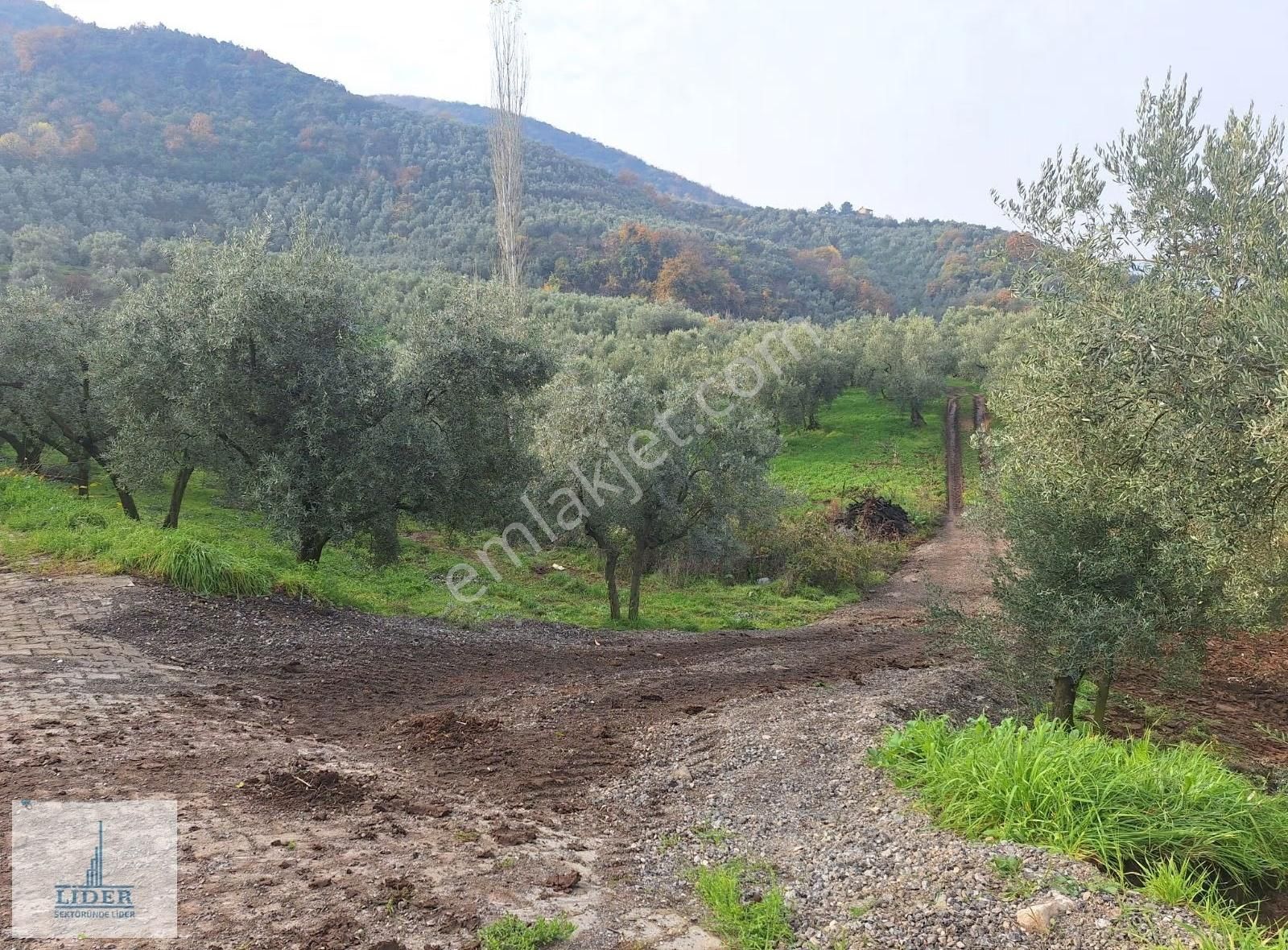 Bursa Orhangazi Heceler Mah. 2.5 Kat İmarlı Göl Manzaralı Arsa - Görsel 17