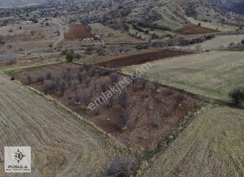 Pusula'dan Kazan Sancarda 4412m² 120 Adet Ağaçlı Bağ- Yolu Var - Görsel 3
