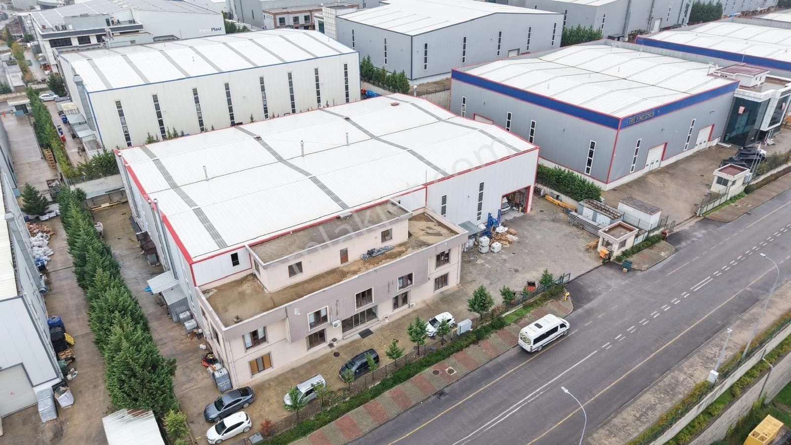 Dilovası İmes Osb'de 2600 M2+2 Adet 5+10 Tonluk Vinçli Fabrika