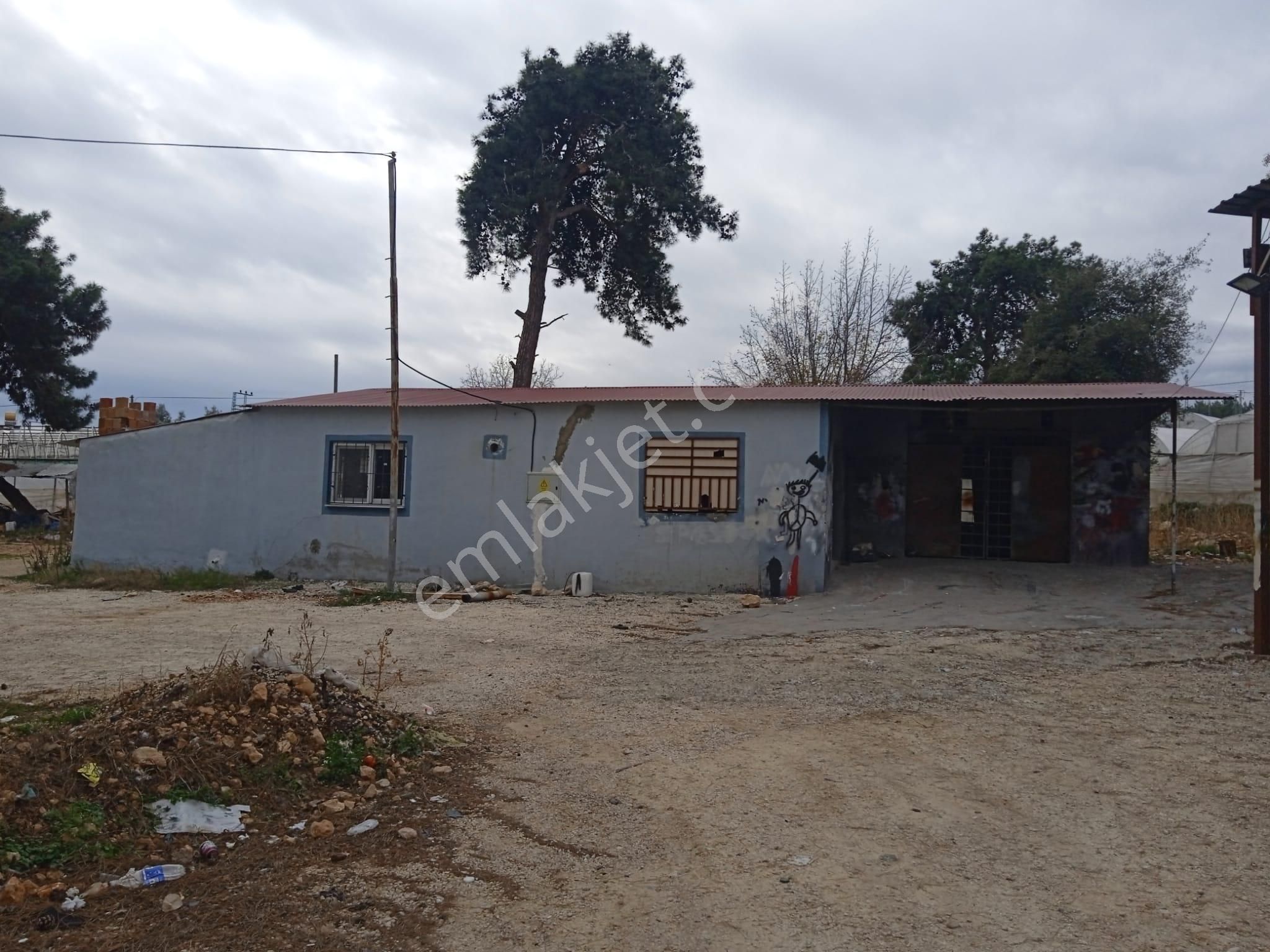 Atabey Emlaktan Köyiçi Tarla Acil Satılık - Görsel 4