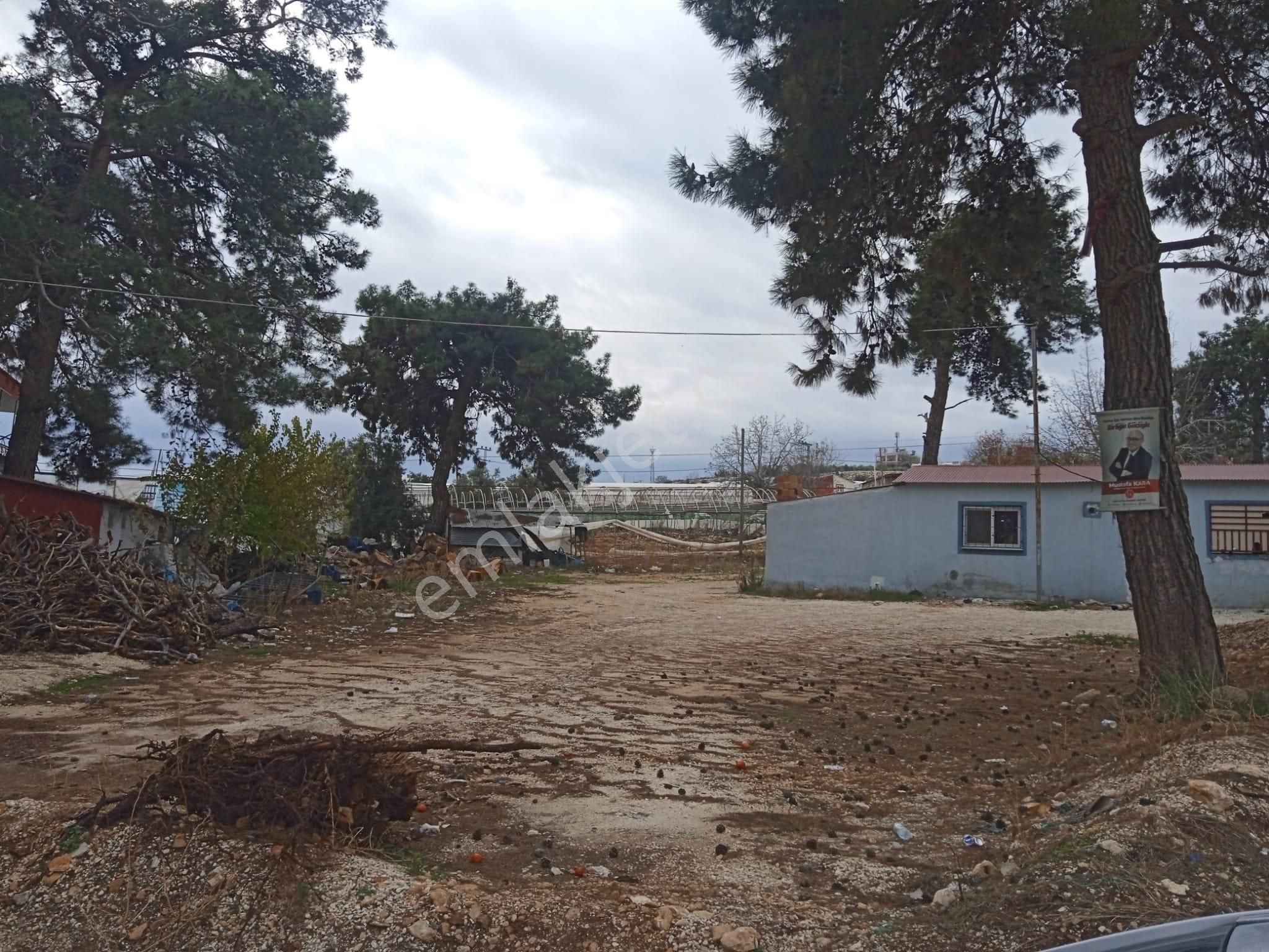 Atabey Emlaktan Köyiçi Tarla Acil Satılık - Görsel 3