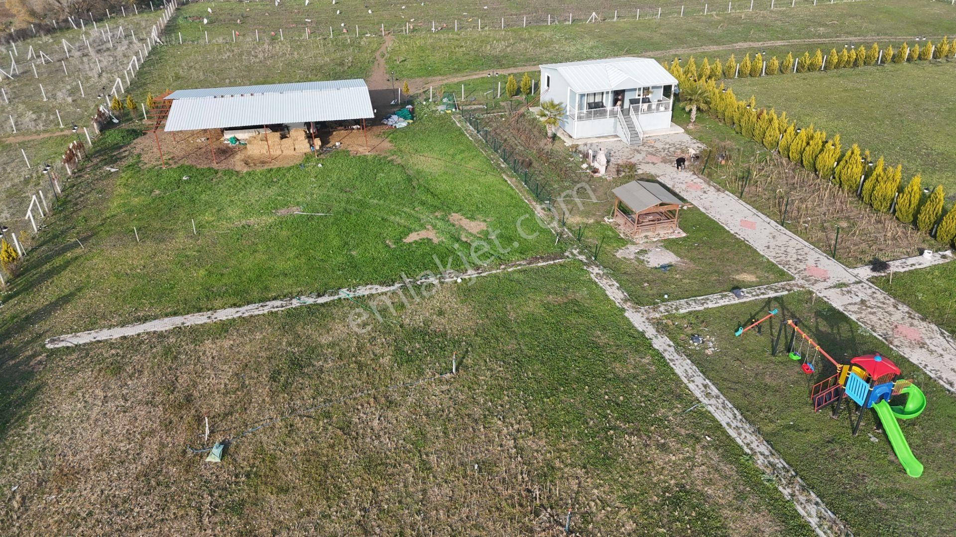 İzmir Menderes Altıntepede 4080 M2 Arsa İçinde 100m2 Bahçeli Çiftlik Evi - Görsel 12