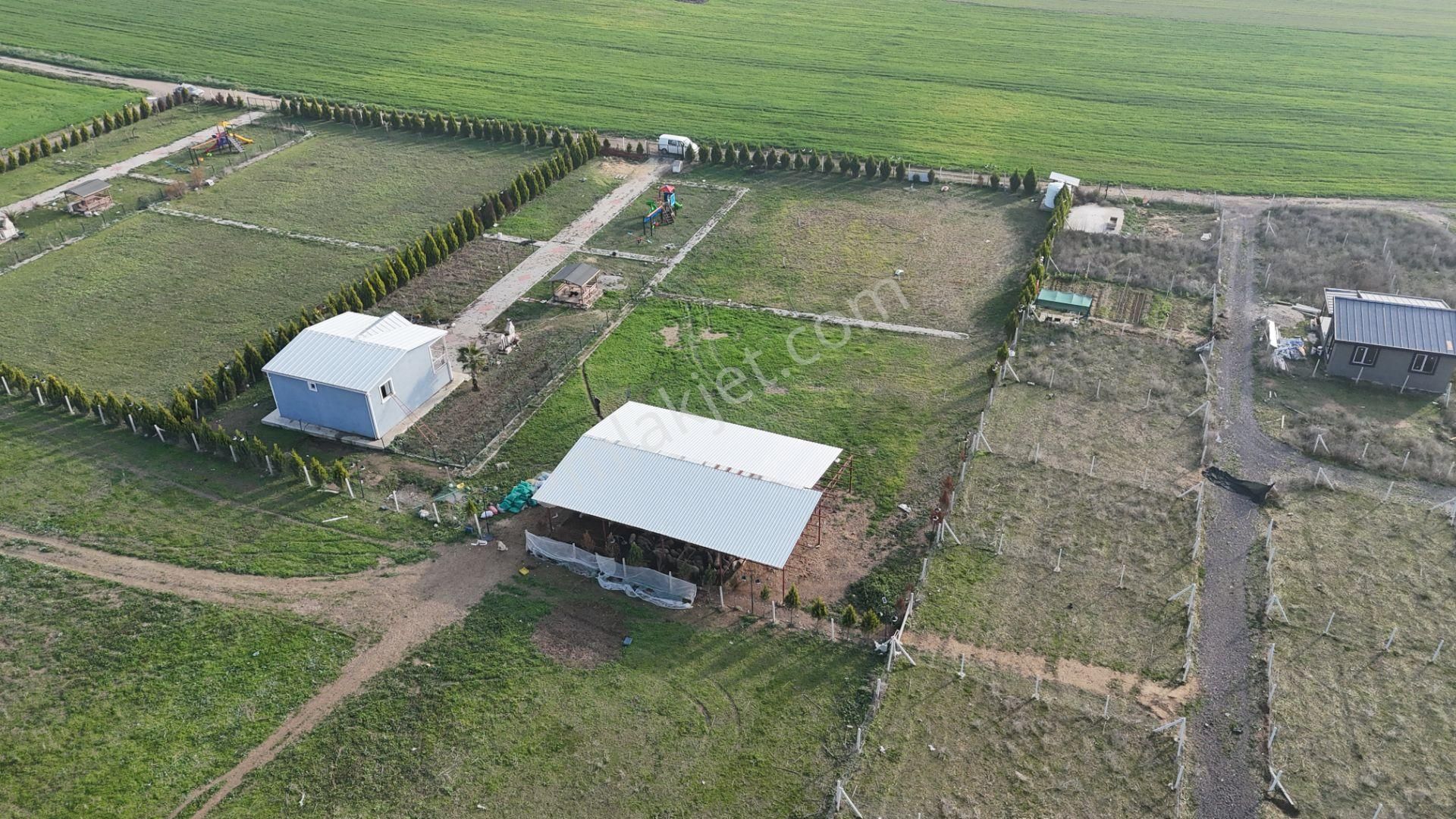 İzmir Menderes Altıntepede 4080 M2 Arsa İçinde 100m2 Bahçeli Çiftlik Evi - Görsel 29