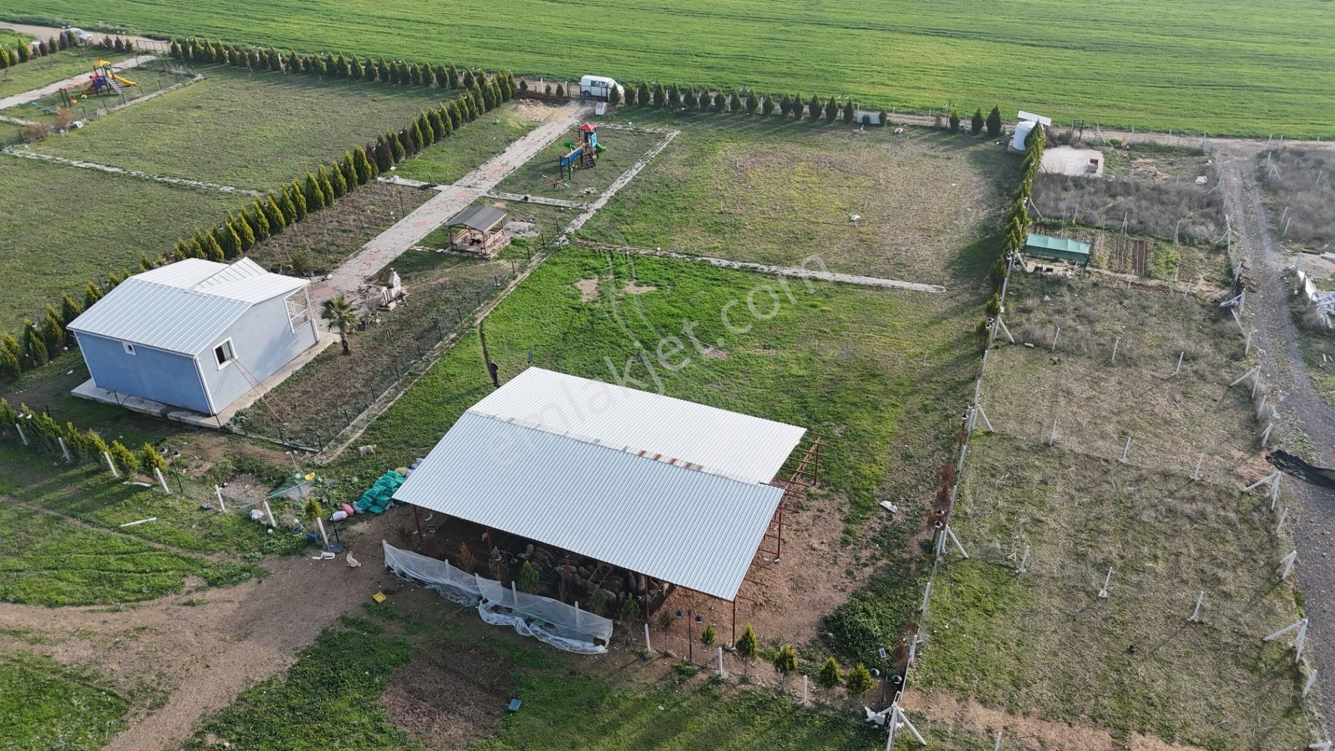 İzmir Menderes Altıntepede 4080 M2 Arsa İçinde 100m2 Bahçeli Çiftlik Evi - Görsel 6