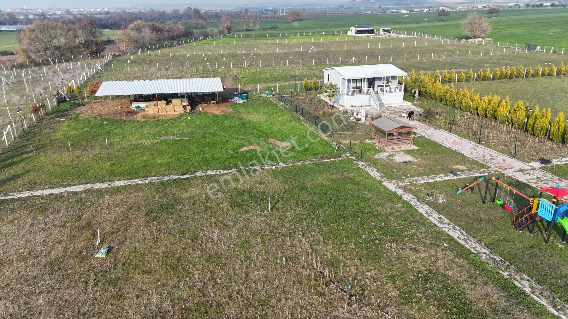 İzmir Menderes Altıntepede 4080 M2 Arsa İçinde 100m2 Bahçeli Çiftlik Evi - Görsel 23