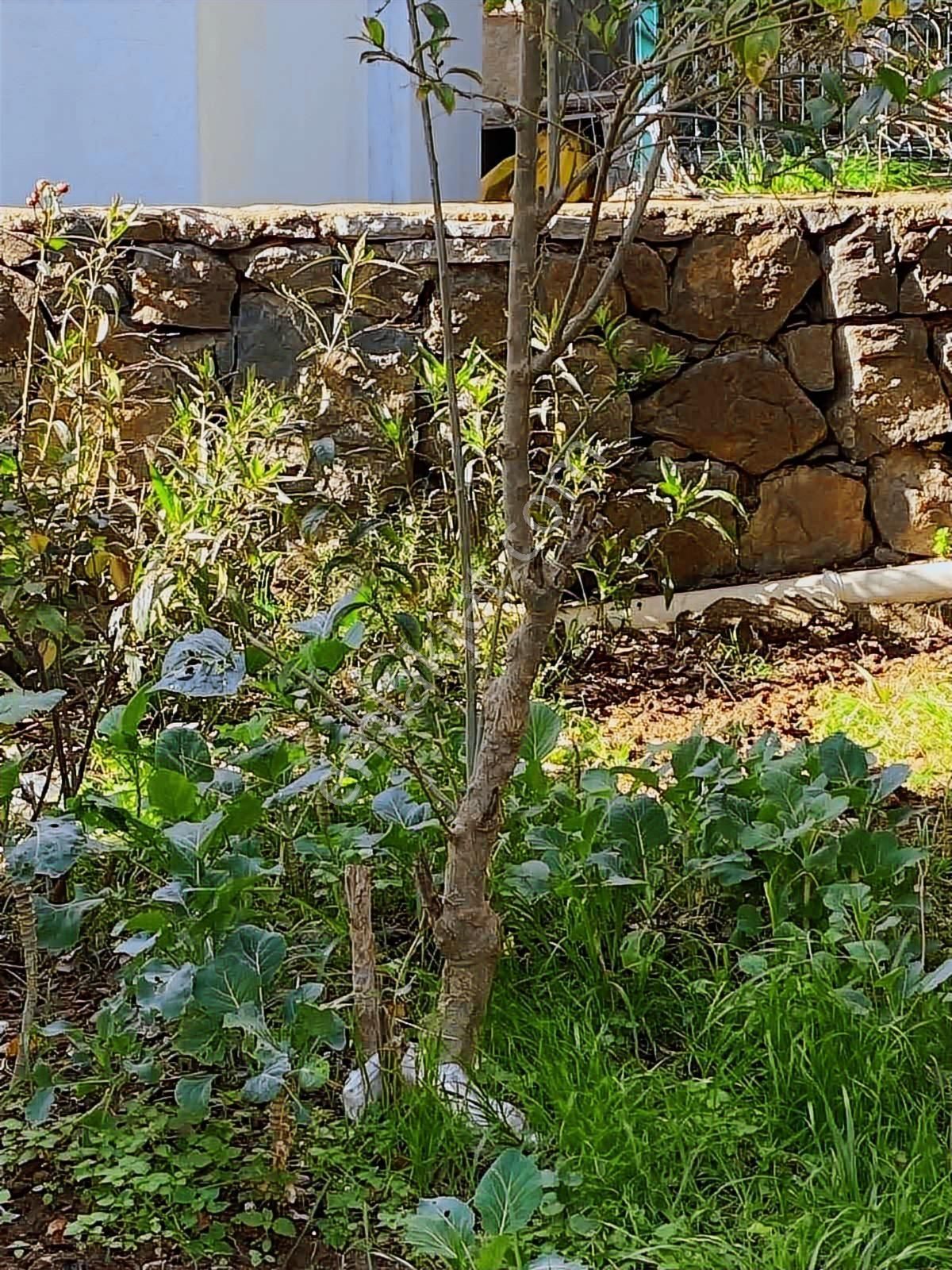 Tayman'dan Turgutreis Yakaarası'nda 2+1 Satılık Daire - Görsel 18