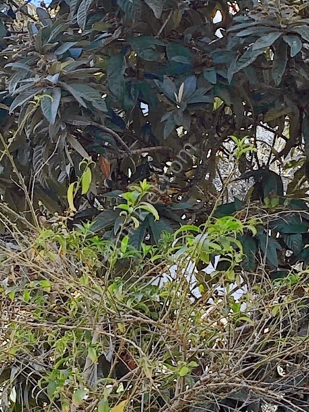 Tayman'dan Turgutreis Yakaarası'nda 2+1 Satılık Daire - Görsel 12