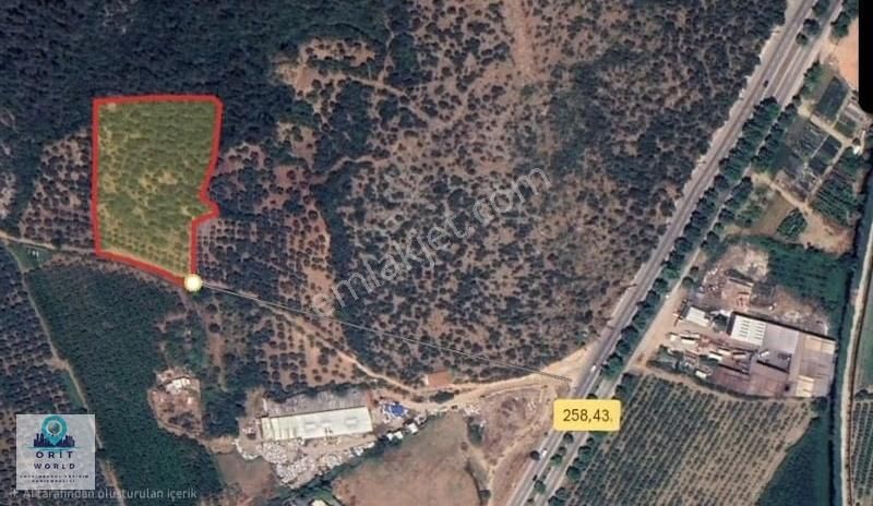 Kestel Çataltepe'de Anayola Yakın Kupon Arazi - Görsel 7