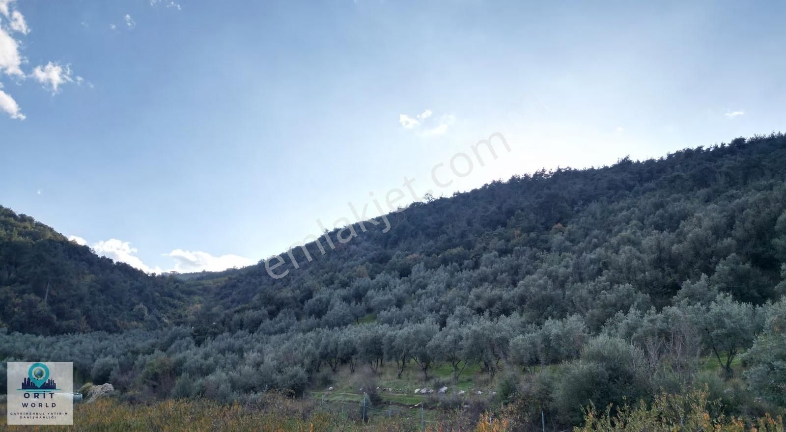 Kestel Çataltepe'de Anayola Yakın Kupon Arazi - Görsel 2