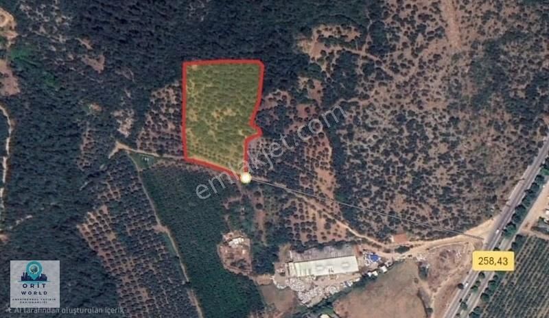 Kestel Çataltepe'de Anayola Yakın Kupon Arazi - Görsel 11