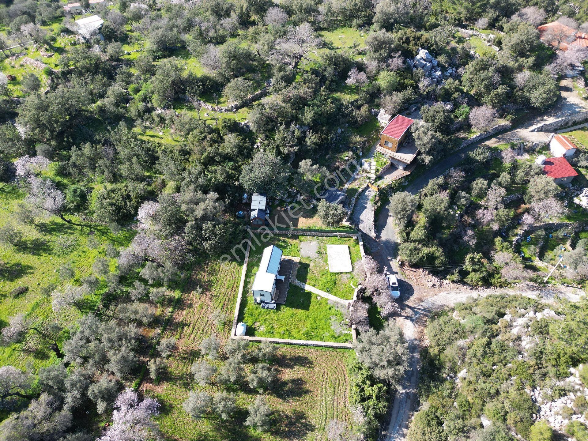 Joker: Marmaris Söğüt 460 M2 Arazi İçinde Kiralık Tiny House - Görsel 3