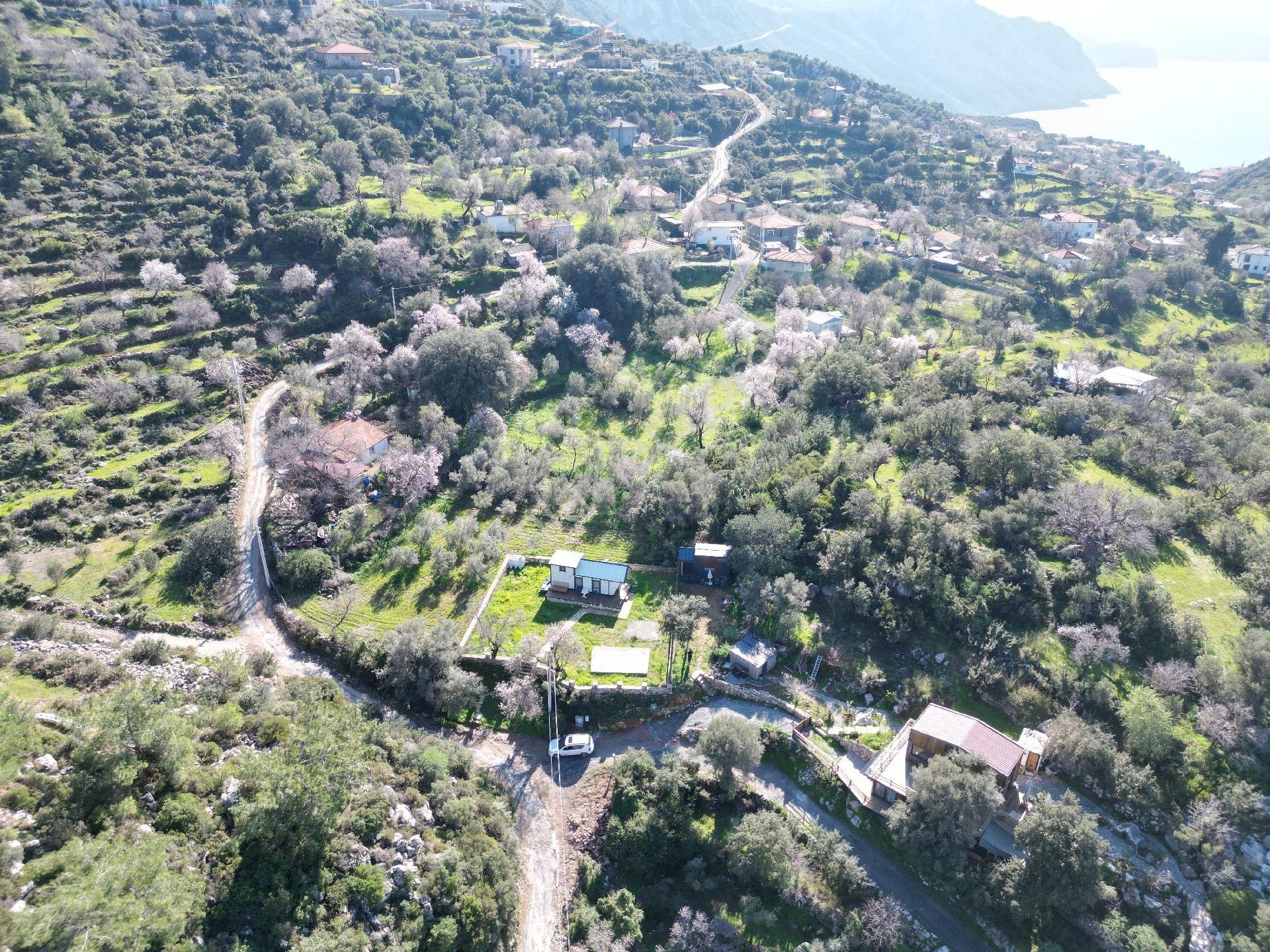 Joker: Marmaris Söğüt 460 M2 Arazi İçinde Kiralık Tiny House - Görsel 7