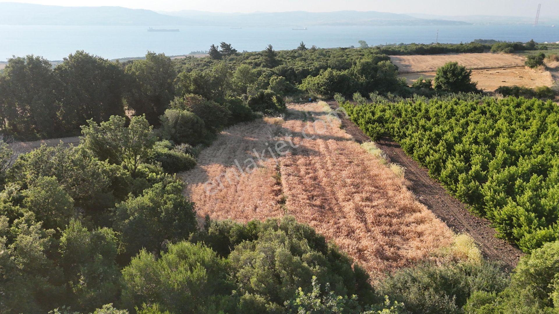 Çanakkale Suluca'da Boğaz Ve Köprü Manzaralı Yatırımlık Tarla - Görsel 6