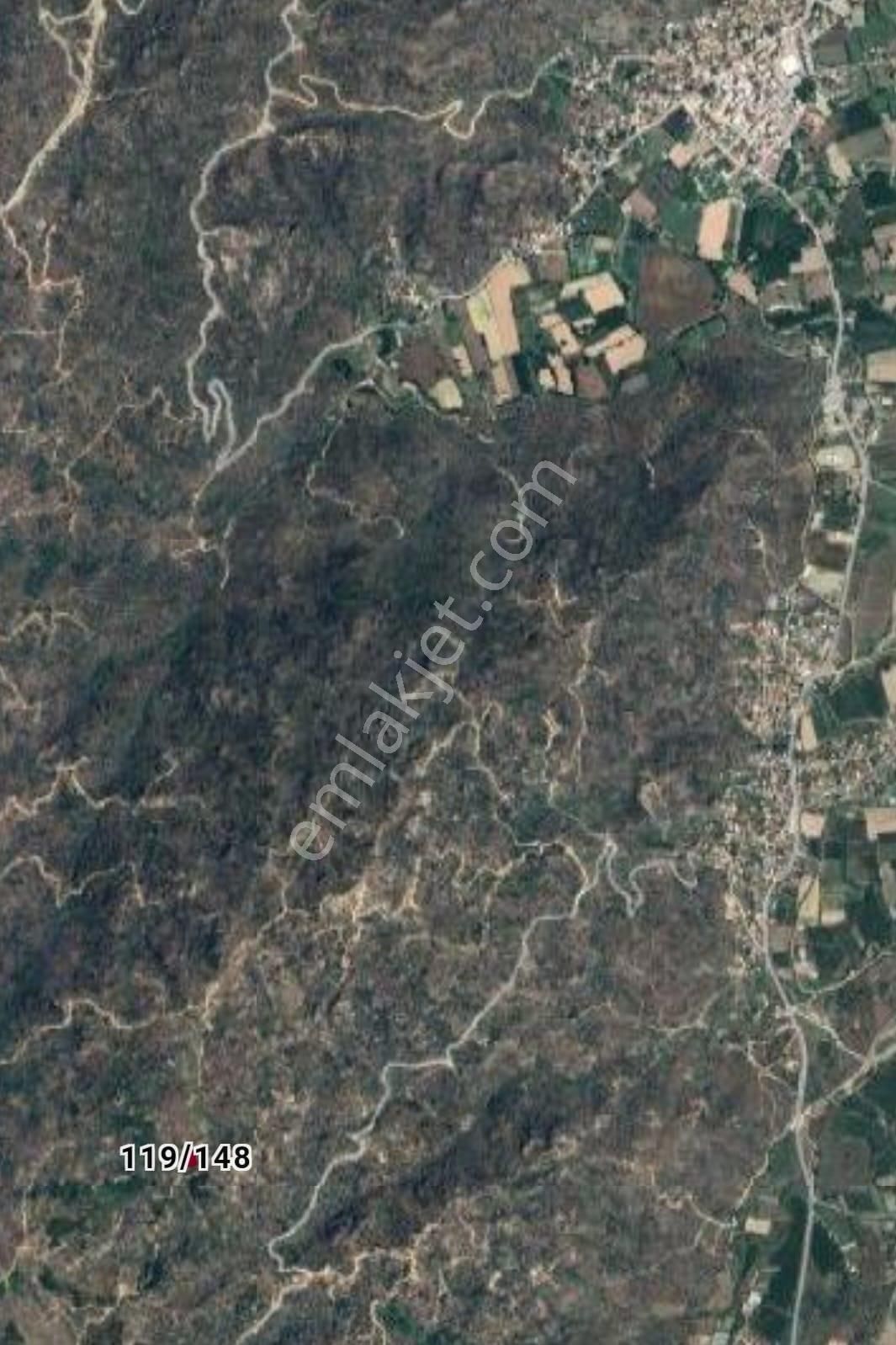 Yatırım İçin Kaçmaz Fırsat Zeytınlık