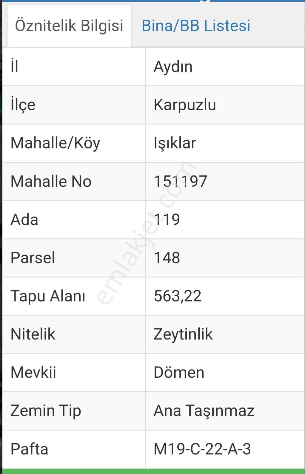 Yatırım İçin Kaçmaz Fırsat Zeytınlık - Görsel 2