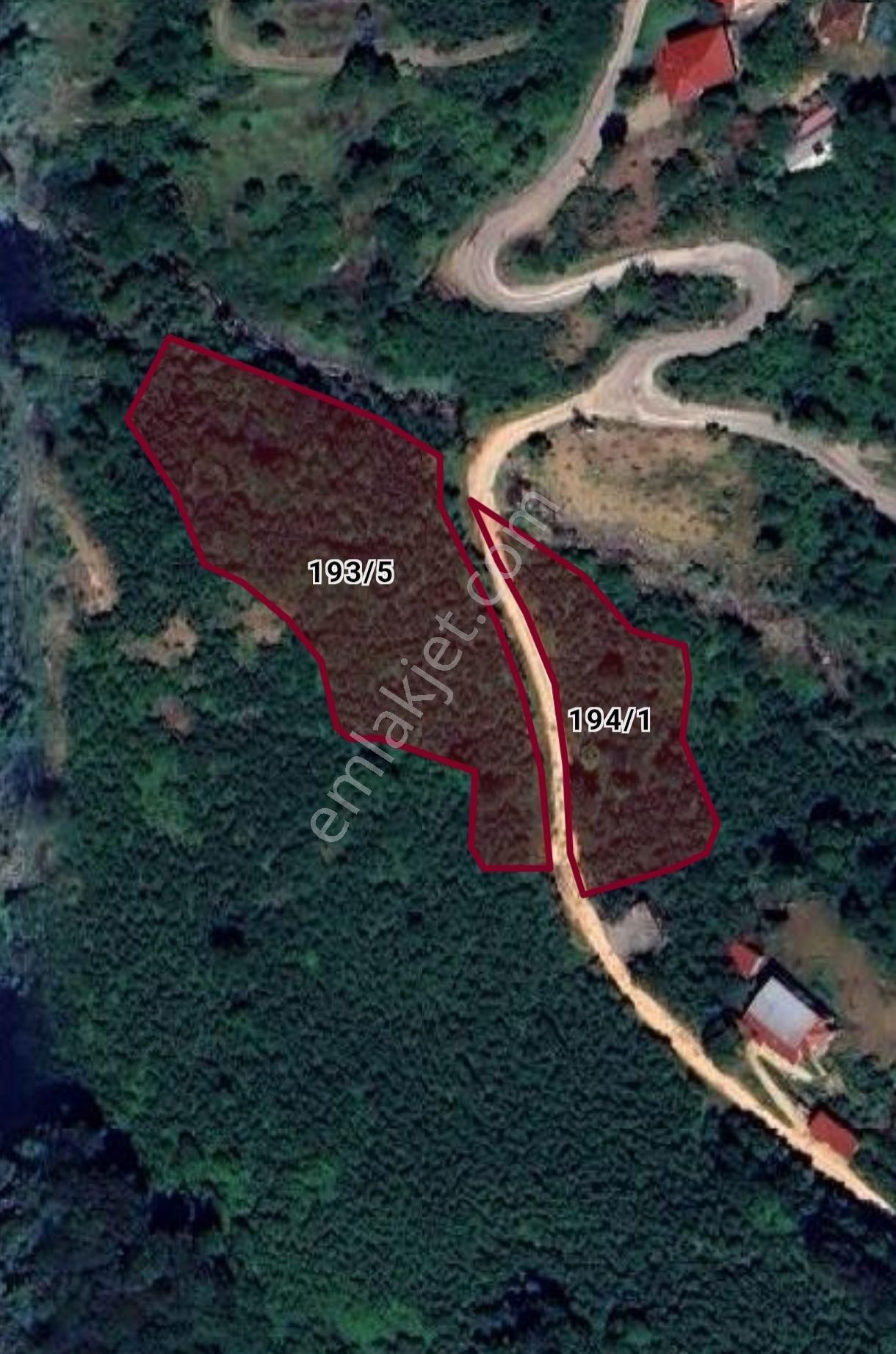 Ordu Çatalpınar Ortaköy Mahallesi'nde Acil Satılık