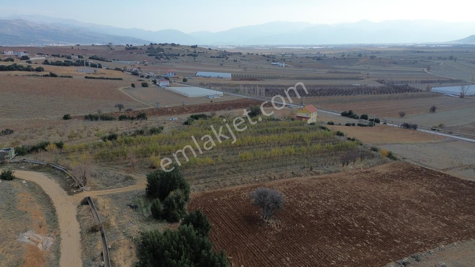 Vip Gayrimenkul'den Kışla Mah. 9.700m² Elma Bahçesi - Görsel 24