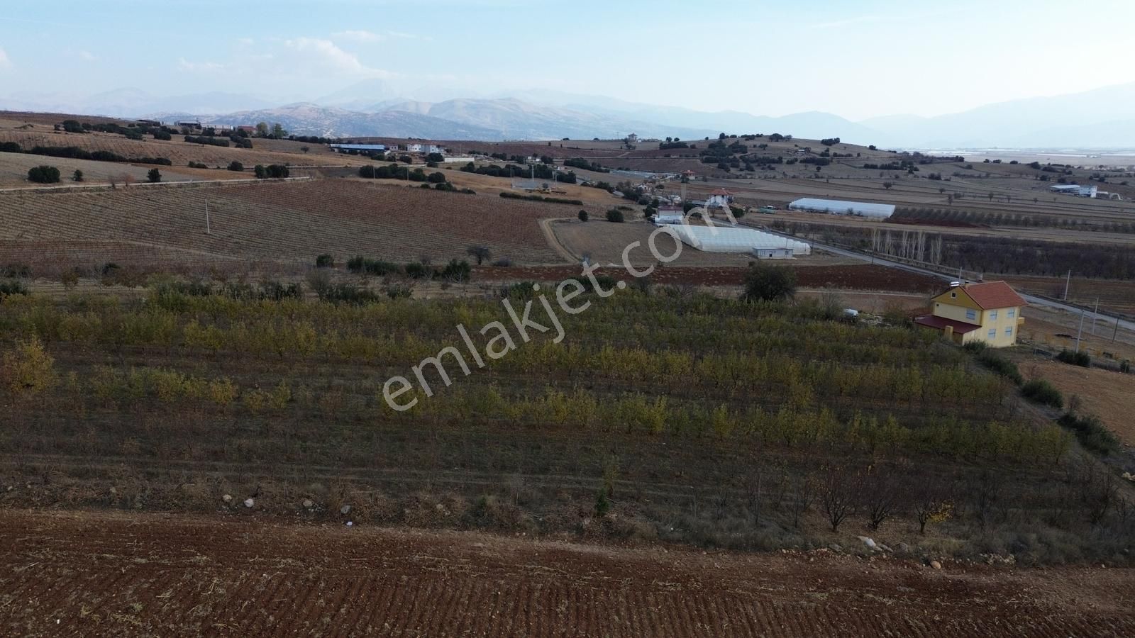 Vip Gayrimenkul'den Kışla Mah. 9.700m² Elma Bahçesi - Görsel 18